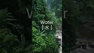 Water. Earth. Fire. Air.