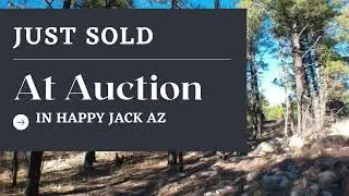 Arizona Auction Lot Sold in Happy Jack AZ