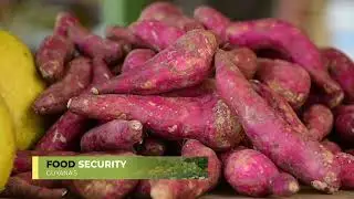 Food Security, Guyana&rsquo;s success story