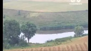 wideonews Фестиваль 