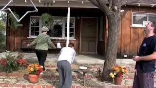 Pie in the Face