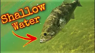 Skipping Baits under ULTRA SHALLOW Docks for BIG BASS
