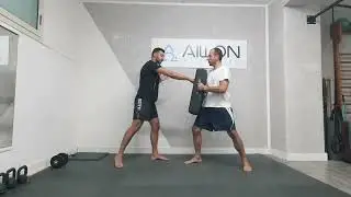 FA JIN in Internal Martial Arts