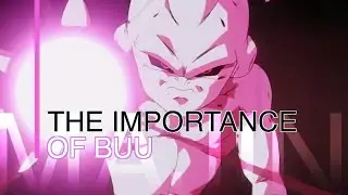 The Importance Of: The BUU Saga