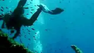esplorazione in apnea del relitto di pomonte