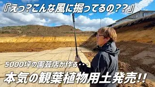 【衝撃の採掘場】万能観葉植物が
