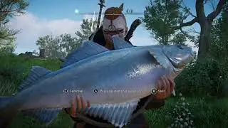 Assassin&rsquo;s Creed&reg; Valhalla A LOT OF POLLOCK FISH BIG & REGULAR/MEDIUM/ABADEJO GRANDE Y MEDIANO