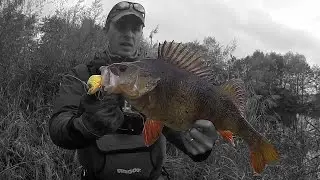 Record Perche explos&eacute; 51 cm !!!