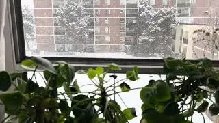 Snowing Time in North York, Canada