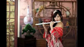 Beautiful Chinese music Instrument - Endlesslove [10 different songs]