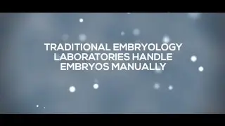 Embryo Handling in the CHR Lab