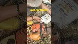 parah gaes oli bagaikan susu #mesin #chainsawer #stihl