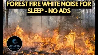 Blazing Forest Fire Storm: Intense Burning Fire Sounds For Study Or Sleep - 10 Hours, No Ads