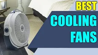 Best Cooling Fan - Top Rated Compact Circulating Fans 2020