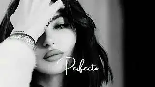 Deep House Mix 2025 - Vol 3 Perfecto Music 2025
