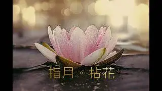《指月，拈花》 將國語、粵語、英語三種語系交織，本身就是對「緣起性空」與「中道」的視覺化與聽覺化實踐：文字雖異（相不同），但指向的真理為一（性空）。