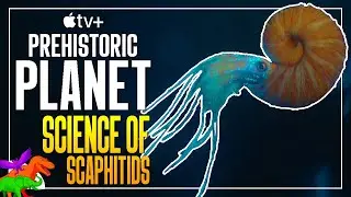 How Speculative Are Prehistoric Planet's Scaphitid Ammonites?