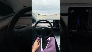 Tesla Model Y 2024 - Autopilot #tesla #model3 #modely #modelx #cybertruck