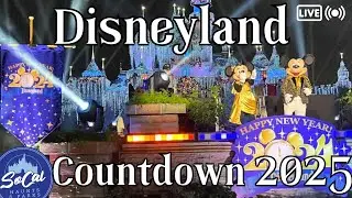 24 Hour LIVE Challenge Disneyland New Years Eve 2025 Countdown & 136th Tournament of Rose Parade