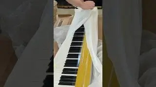 Thank you Casio for my new Privia PX-S7000! Can you guess this piece?#piano #keyboard #keys #choro