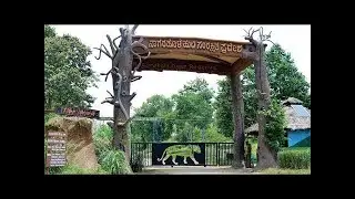 Coorg | Nagarhole National Park | Tiger Reserve