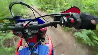 Beta 350 RR Race Edition in the woods