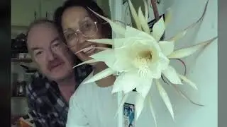 A Rare Flower