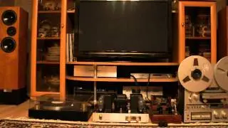 Living Voice Avatar speakers, Triode VP-300BD