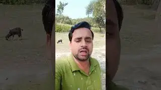 #chevspbks#reelsvideo #reelsshorts