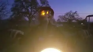 Animated Motorcycle Riding Reaper