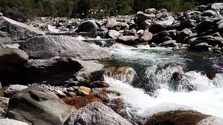 #riversidecooking #chickencookingvideos #junglecooking #villagecooking cooking in river forest