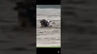 bichary log 😭 | swat accident 2025 | cat version
