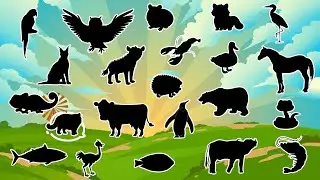 Adivinhe a Sombra: Qual Animal Está Escondido? 🐾