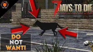 Not Happy About This! (7 Days to Die Alpha 20 Episode 5)