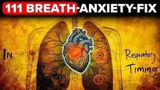 Quiet your anxiety in 7 minutes using the 111 Breath Protocol.
