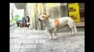 Dig Ribei - Insanidade - [Video caseiro]