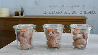 【暮らしのvlog】梅干しの代用、杏干しの記録