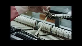Kawai-  Ryuyo Factory 40 Anniversary