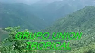 grupo union tropical los colorines
