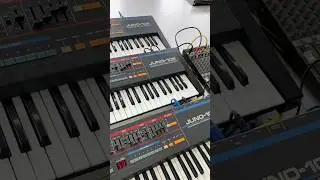 3 X Juno-106 testing at Werkstatt Matlak #rolandjuno106 #juno106