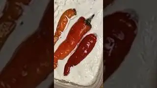 how to make yogurt starter at home!