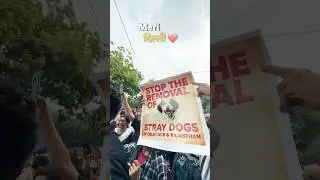 #savedelhidogs #savedelhincrdogs #nodogsnovote #viralshort #delhiprotest #delhidogs