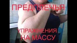 МОЩНЫЕ ПРЕДПЛЕЧЬЯ. ЛУЧШИЕ УПРАЖНЕНИЯ.