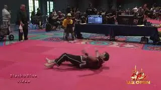 3 Sectional Staff Kata 2024 U S Open World Martial Arts Championships  Eliminations