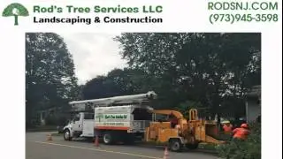 Morris County New Jersey Tree Service