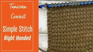 [RIGHT HAND] Mastering Tunisian Simple Stitch in 8 Minutes | Beginner Friendly