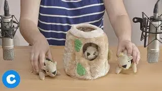ASMR with Dog Toys | Chewy