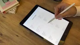 Digital Password Tracker, Goodnotes, iPad, Password List, Password Log, Password Keeper, Salmon Pink