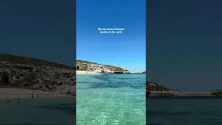 📍Rottnest Island, WA #westernaustralia #perth #beaches #rottnestisland #ocean #summer #australia
