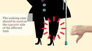 Educational: How To Use A Walking Stick by The Golden Concepts